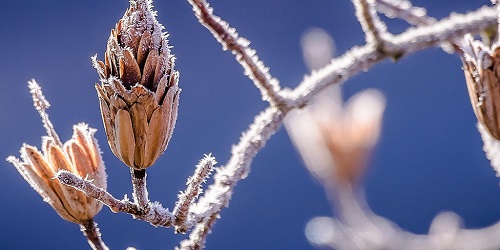 Angebote für den Winter aus D-A-CH und Südtirol